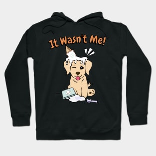 Funny golden retriever got caught stealing ice cream Hoodie